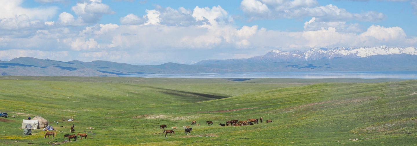 アジアの風イメージ